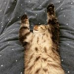 Adrian Henningsen - @adrianhenningsen - Instagram