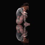 Adrian Hermann - @hermann.adrian - Instagram
