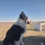 Adrian Hermida - @hermida.adrian - Instagram