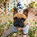 Adrian Hey - @adryanhey - Instagram