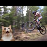 Adrian Hilde - @carbonadrian - Instagram
