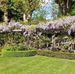 gardens by adrian hillman - Facebook