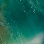 Adrian Hoang - @adrianhoang997 - Instagram