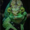 Adrian Hobbs - @adrian.hobbs00 - TikTok