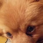 Adrian Hodges - @hodges.adrian - Instagram