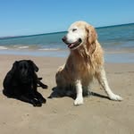 Adrian Hodgson - @hodgson.adrian - Instagram