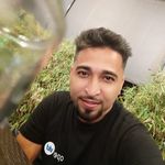 Adrian Holguin - @adrian.holguin.sambita - Instagram
