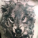 Adrian Holguin - @adrian.holguin.39501 - Instagram