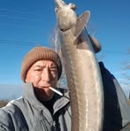 Adrian Holmanu - Facebook
