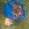 adrianholz955 - @adrianholz955 - TikTok