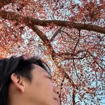 Adrian Hoo - @adrianhoo - Instagram