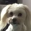 Adrian Hooper - @adrian.hooper5 - TikTok