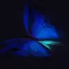 Adrian Hoover - @adrianhoover1344 - TikTok