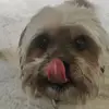 adrien.e_horrell - @adrien.e_horrell - TikTok