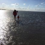 Adrian Howe - @adrianhowe65 - Instagram