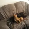 Adrian Huckle - @adrian.huckle - TikTok
