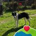 Adrian Hulea - Facebook