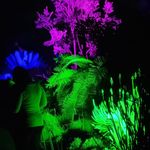 Adrian Hull - @ahull75 - Instagram
