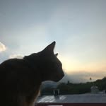 Adrian Humberto - @humbe.71god - Instagram