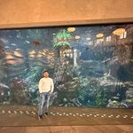 Adrian Humberto Esquivel Grajales - @adtianesquivel - Instagram