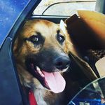 Benito Adrian Humphreys - @soybenitoh - Instagram