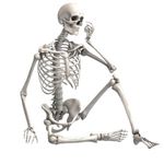 Adrian Hurley - @uni_journey_d_radiography - Instagram