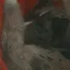 adrianhurt9 - @adrianhurt9 - TikTok