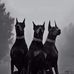 Adrian Ionescu - Facebook