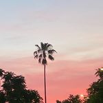 Adrian Ionescu - @adrianionescuu - Instagram