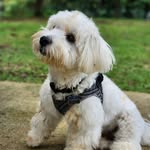 Adrian Ip - @ip.adrian_ - Instagram