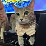 Adrian Ip - @adrianip - Instagram