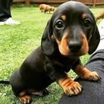 Adrian Irvine - @adrianirvine - Instagram