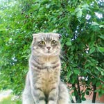 Адриан Иванов - @adrianivanov39 - Instagram