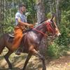 adrian jacinto - @adrian.jacinto_ - TikTok
