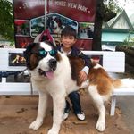 Adrian Jacinto - @adrian.jacinto.942 - Instagram