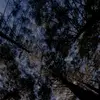 Adrian Jaramillo - @adrian.jaramillo21 - TikTok