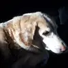 ️Adrian Johnsten - @adrian.johnston75 - TikTok
