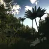 adrianjonas037 - @adrianjonas037 - TikTok