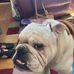 Adrian Kirk - Facebook