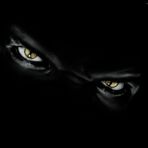 Adrian Kowal - Facebook
