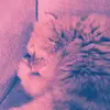 Adrian 🎄🎅🍪🥛 - @adriankowalski22 - TikTok