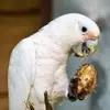 Adrian Kowalski - @adrian.kowalski65 - TikTok