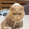 Adrian Kuo - @adriankuo - TikTok