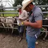 Adrian Lagunes Prado - @adrianlagunesprado - TikTok