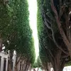 José Adrián Martínez Lazcano - @jos.adrin.martnez4 - TikTok