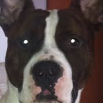 Adrian Leon - @adrian_leon_cerrajeria - Instagram