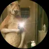 Adrian Leon - @adrian.leon488 - TikTok