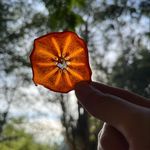 Adrian Leong - @adrianleonghk - Instagram