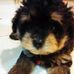 Leong Adrian - Facebook
