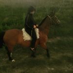 Adrián Link - @adriaan_link - Instagram